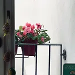 Bed & Breakfast Charming Opuntia