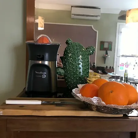 Charming Opuntia קרלופורטה