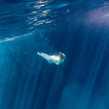 Bed & Breakfast Charming Opuntia Carloforte (Isola di San Pietro)