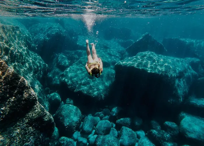 Charming Opuntia カルロフォルテ