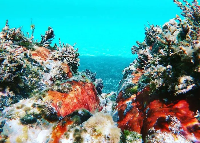 فندق مبيت وإفطار Charming Opuntia 4*