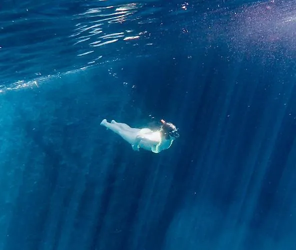 فندق مبيت وإفطار Charming Opuntia كارلوفورتي