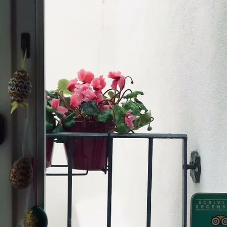 Bed & Breakfast Charming Opuntia